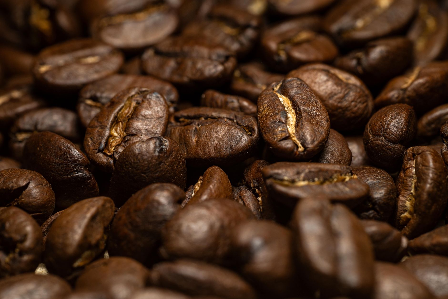 Close-up of freshly roasted coffee beans